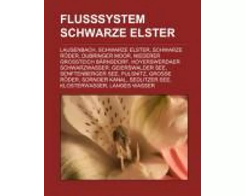 Flusssystem Schwarze Elster