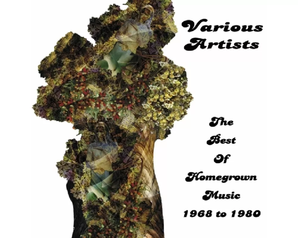 Best Of Homegrown Music 1968 To 1980
