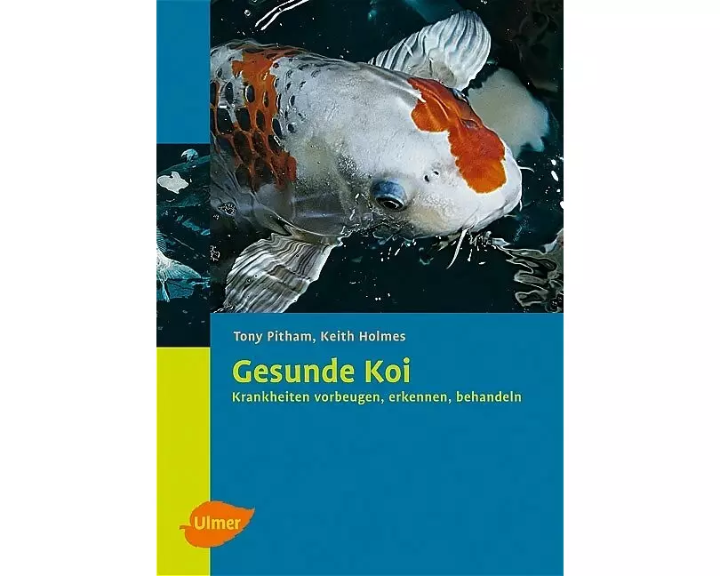 Gesunde Koi