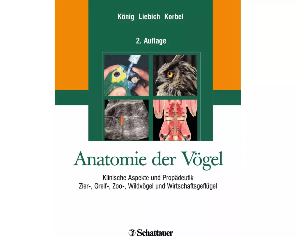 Anatomie der Vögel
