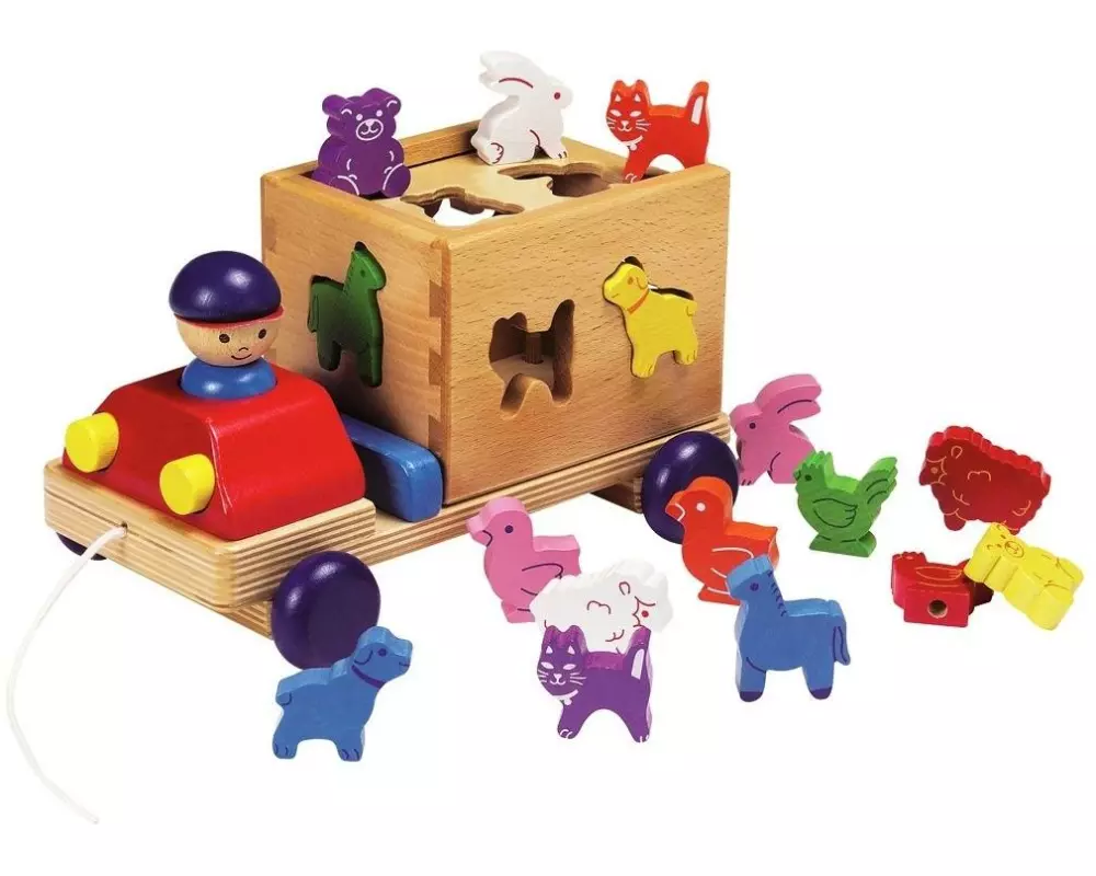 Spielba Holzspielwaren Steckspiel Lastwagen