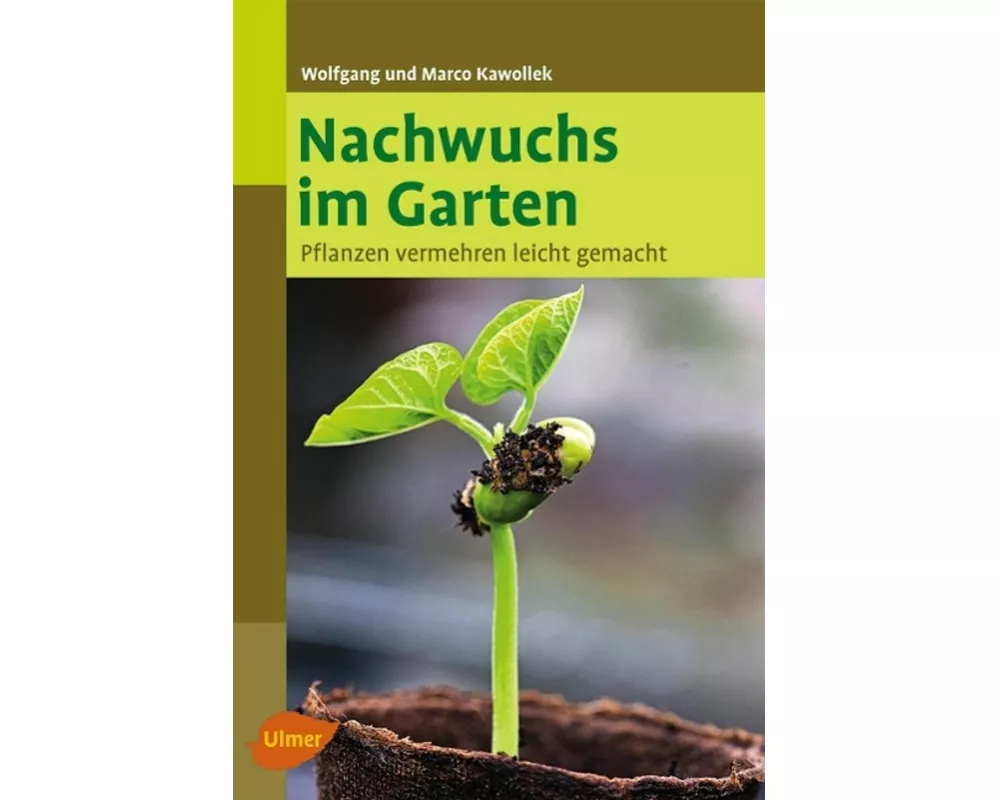 Nachwuchs im Garten