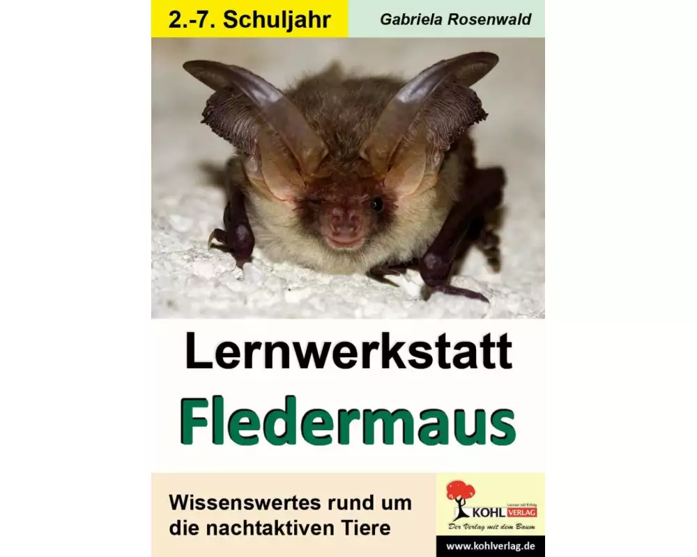 Lernwerkstatt Die Fledermaus