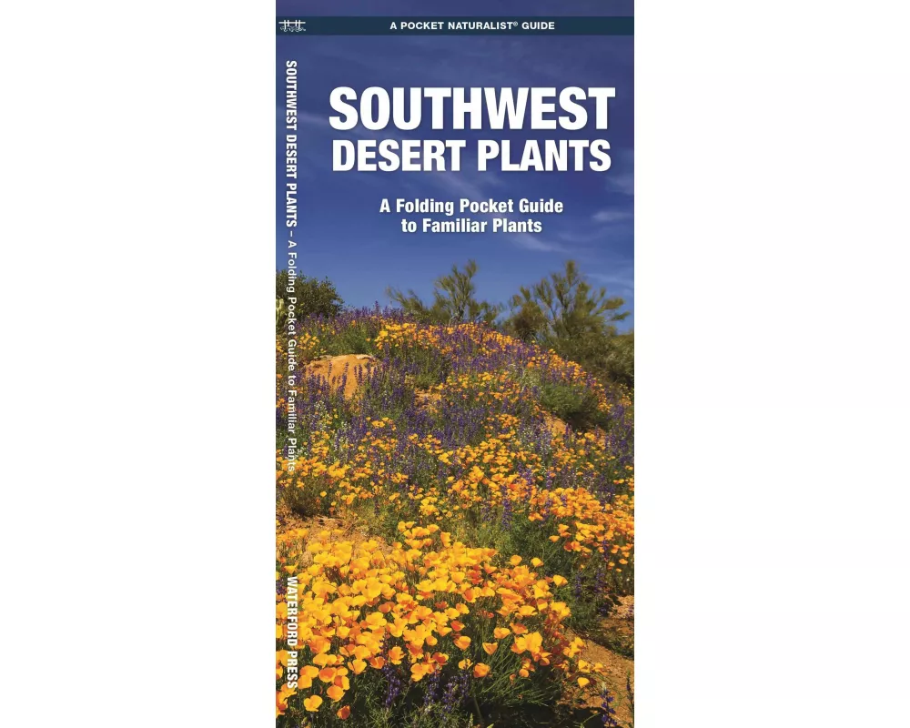 Southwestern Desert Plants