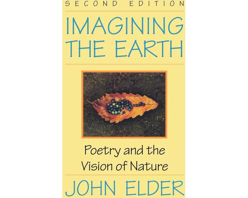 Imagining the Earth