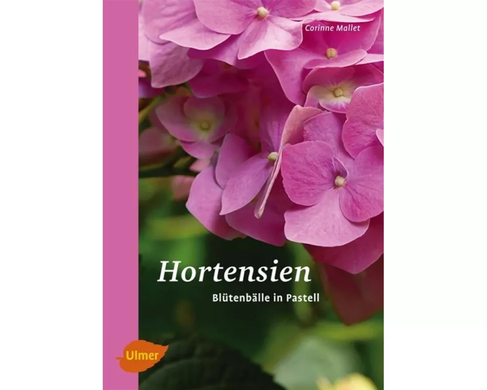 Hortensien