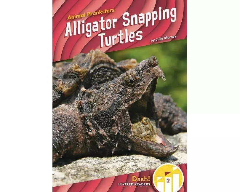 Alligator Snapping Turtles