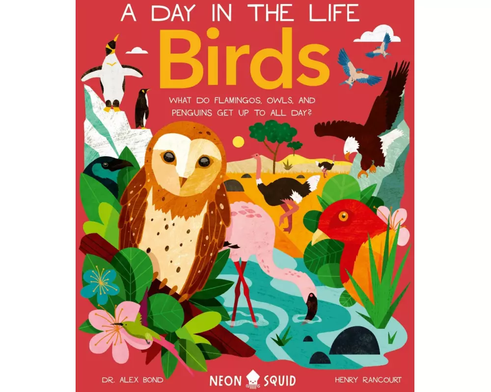 Birds (A Day in the Life)