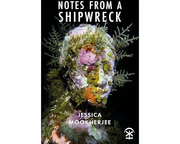 Notes from a Shipwreck