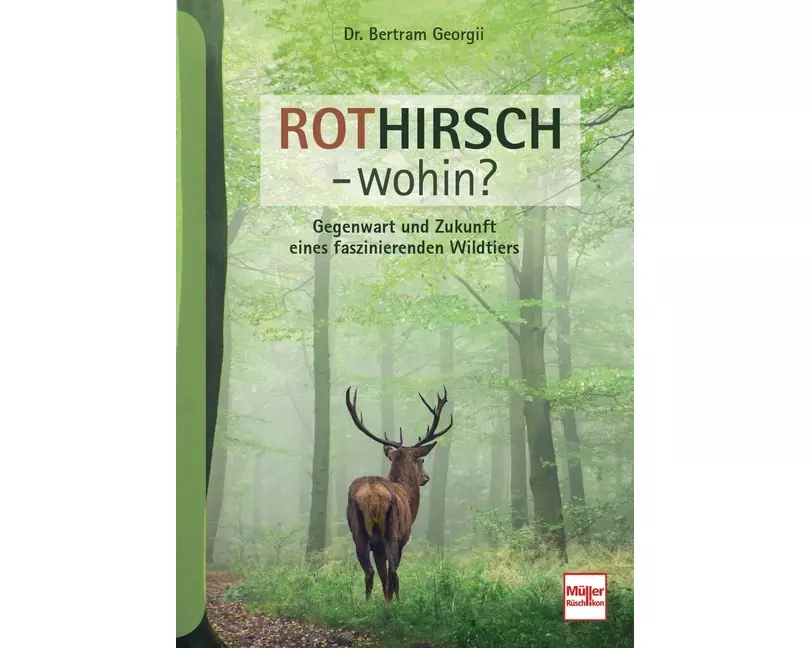 Rothirsch - wohin?