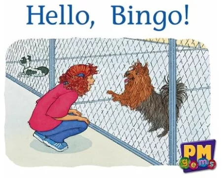 Hello, Bingo!