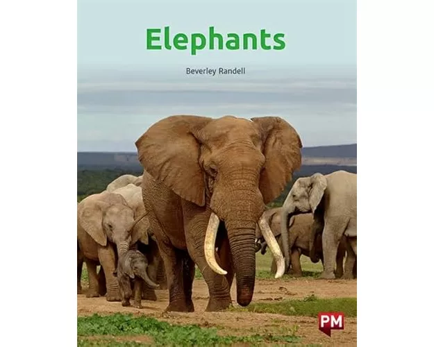 Elephants