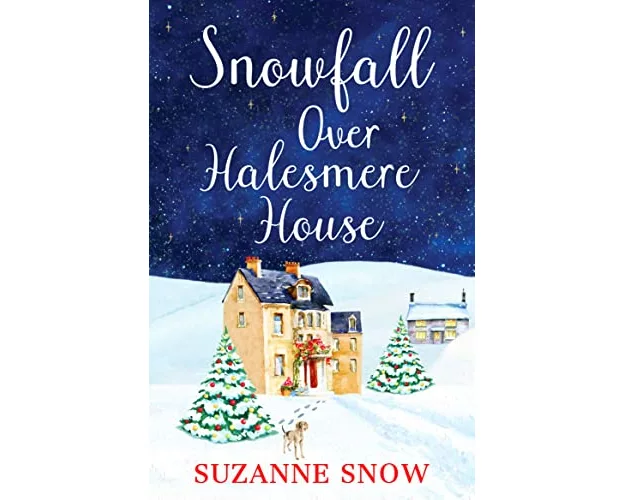 Snowfall Over Halesmere House