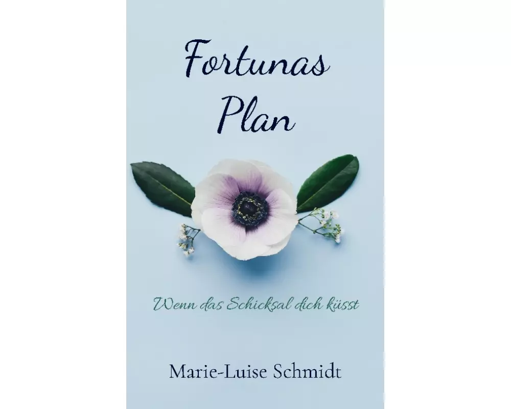 Fortunas Plan