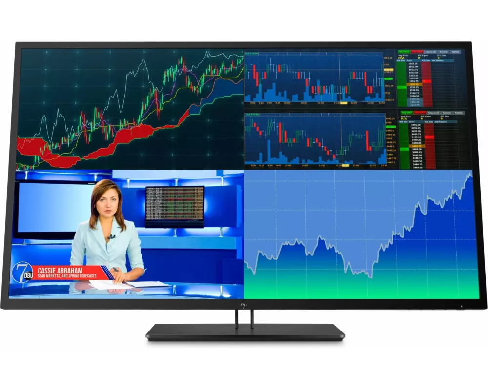 HP Monitor Z43 1AA85A4