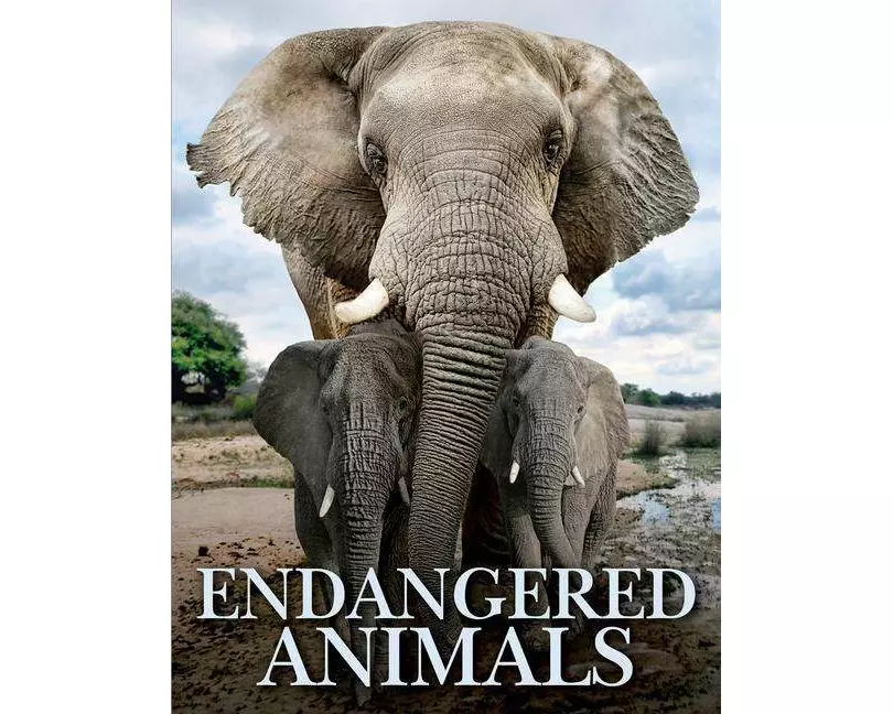 Endangered Animals