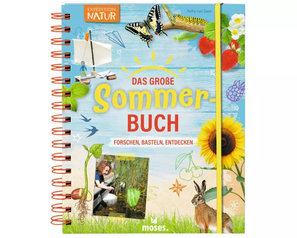 Das große Sommer-Buch