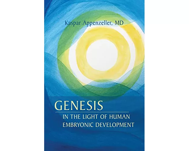 Genesis in the Light of Human Embryonic Development