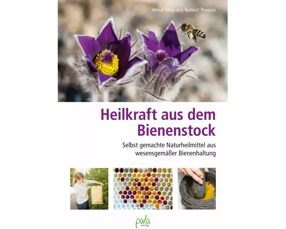 Heilkraft aus dem Bienenstock