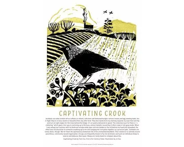 Tom Cox's 21st Century Yokel Poster – Captivating Crook