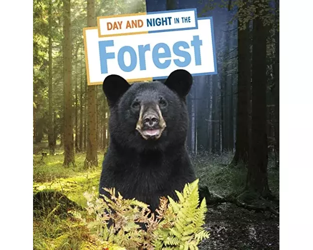 Day and Night in the Forest