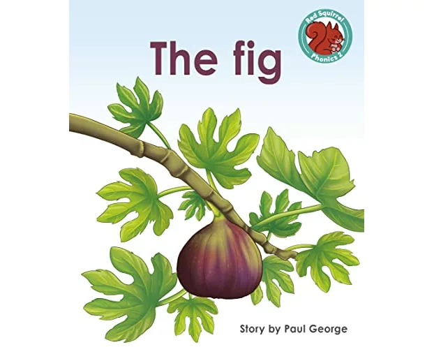 The Fig