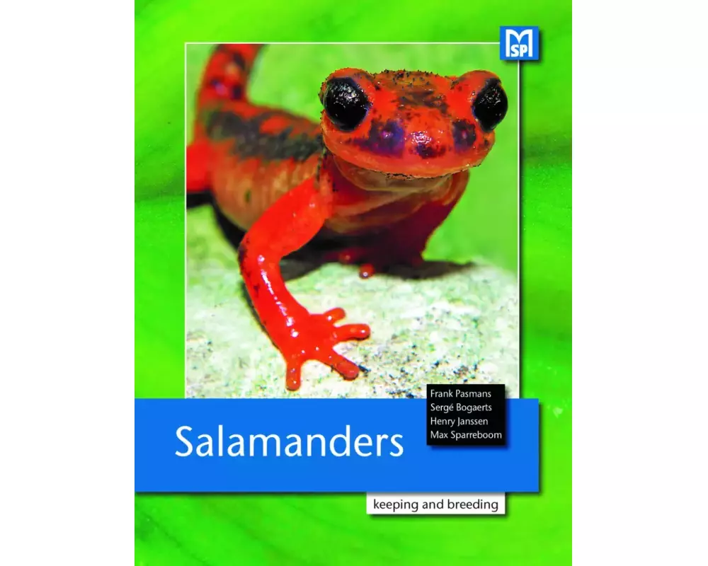 Salamanders