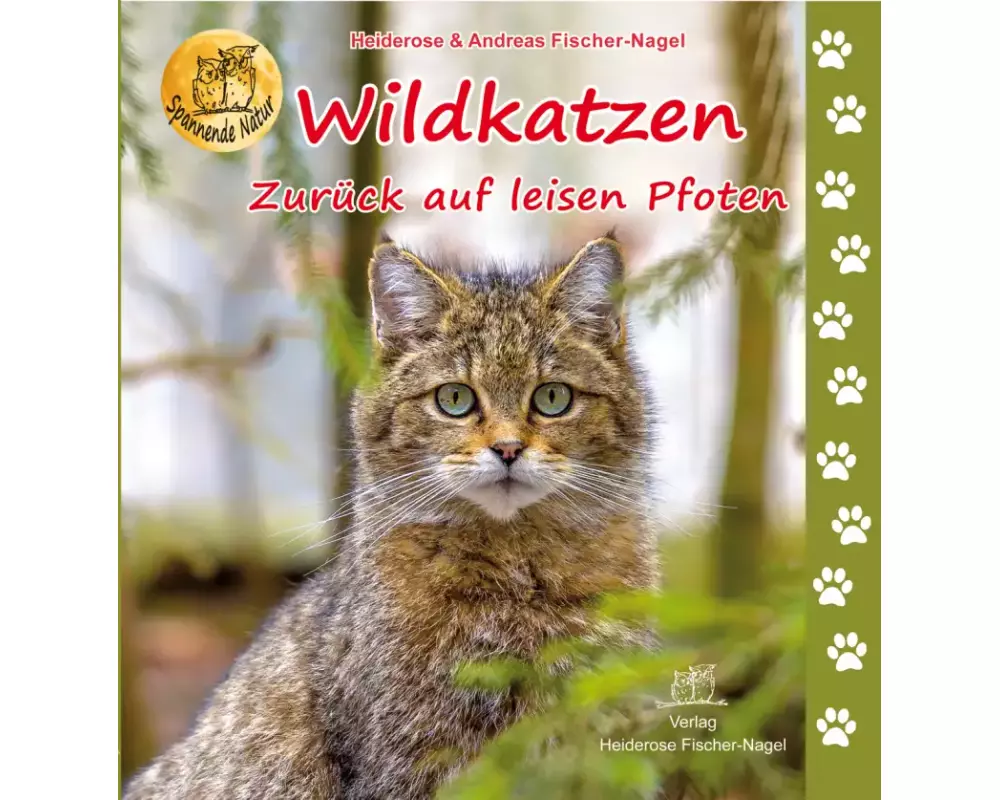 Wildkatzen