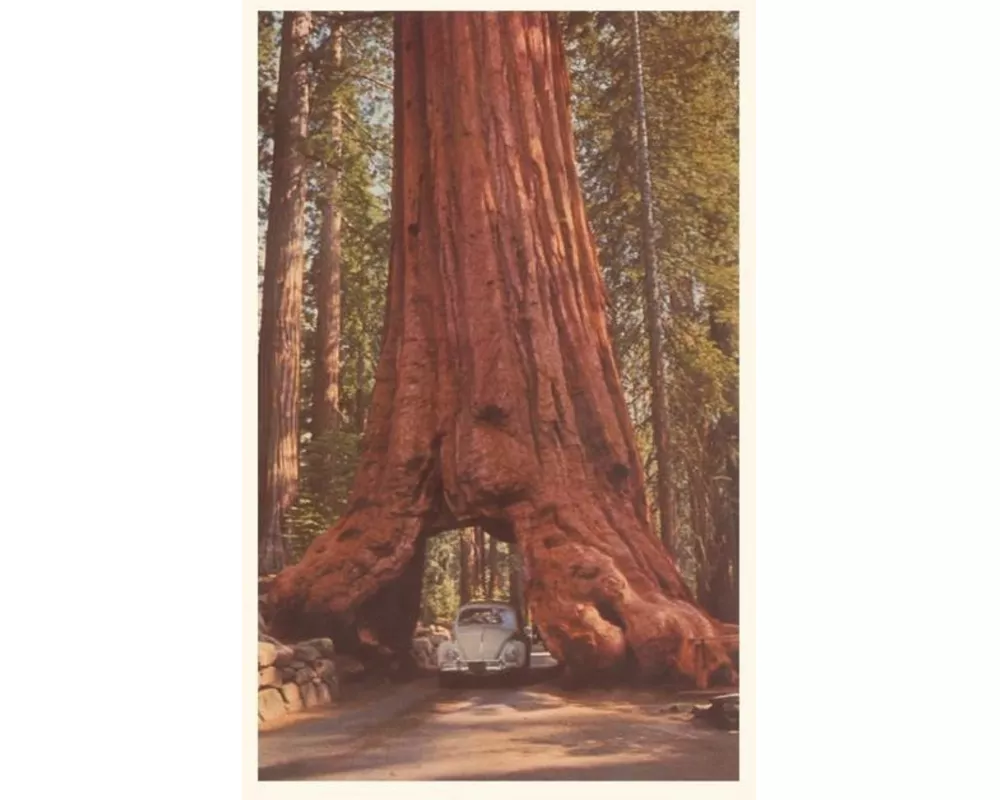 Vintage Journal Redwood and Volkswagen