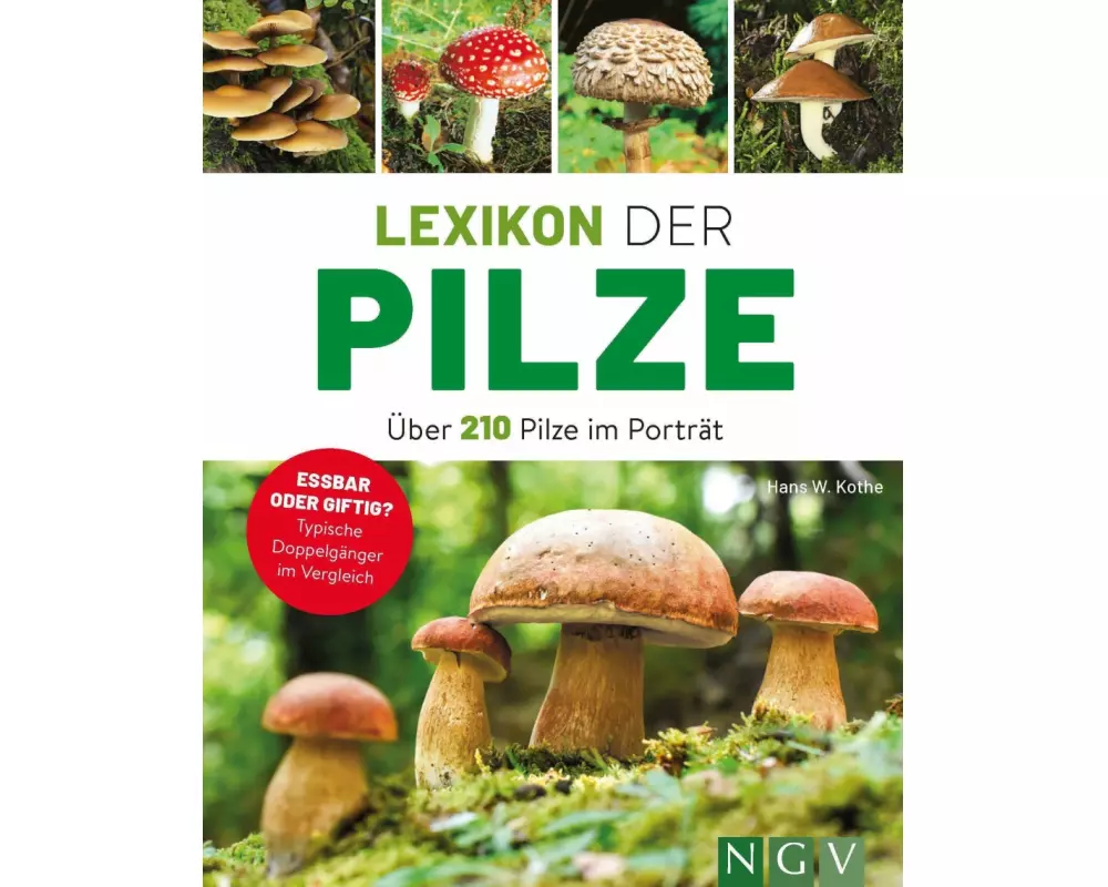 Lexikon der Pilze - Über 210 Pilze im Porträt