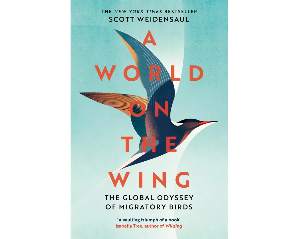 A World on the Wing