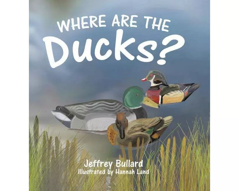 Where Are the Ducks?