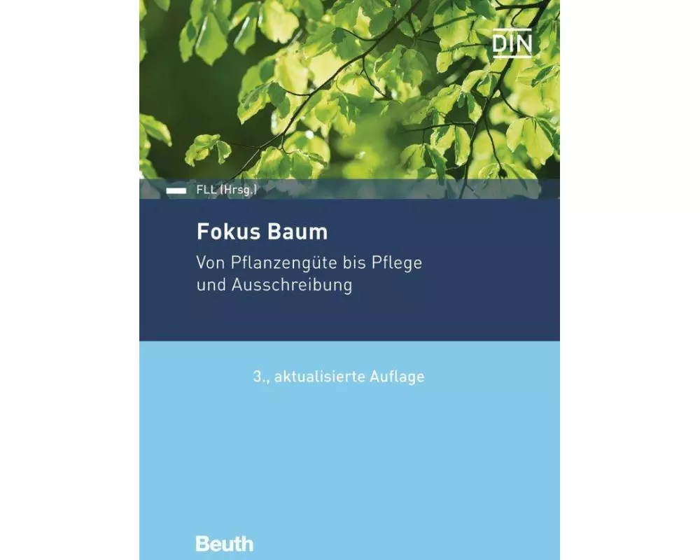 Fokus Baum