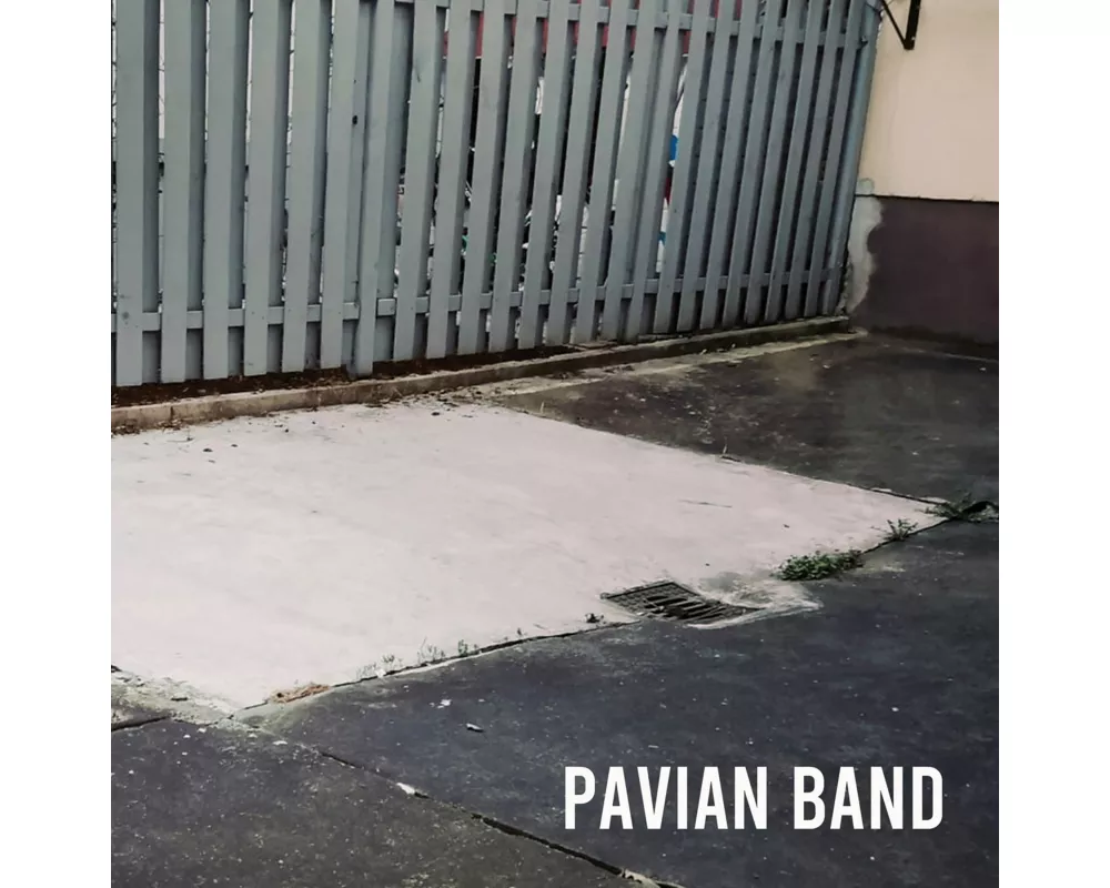 Pavian Band