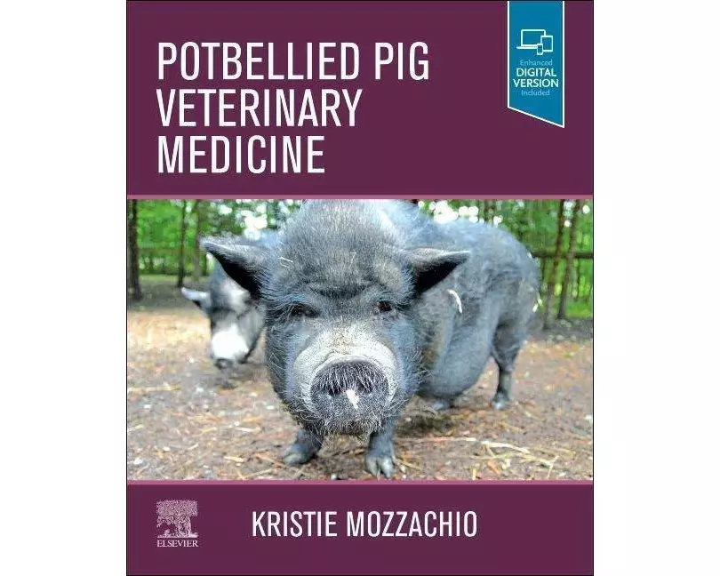 Potbellied Pig Veterinary Medicine