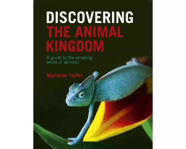 Discovering The Animal Kingdom