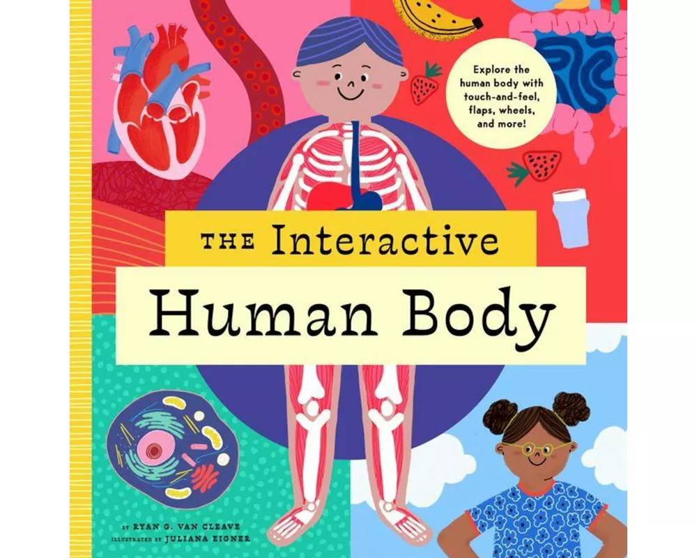 The Interactive Human Body