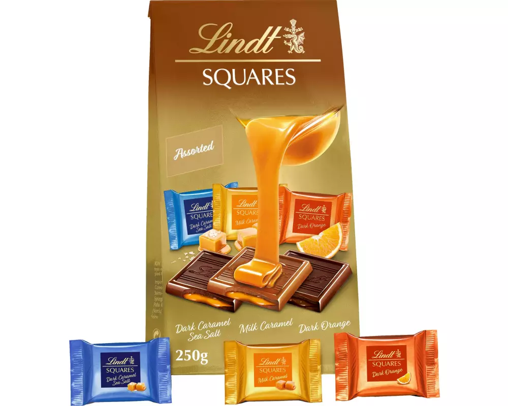 Lindt Schokoladen-Pralinen Squares assortiert 250 g