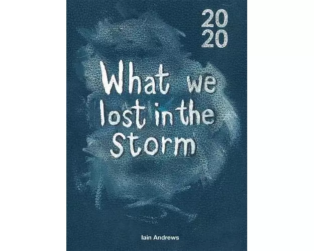 What We Lost In The Storm