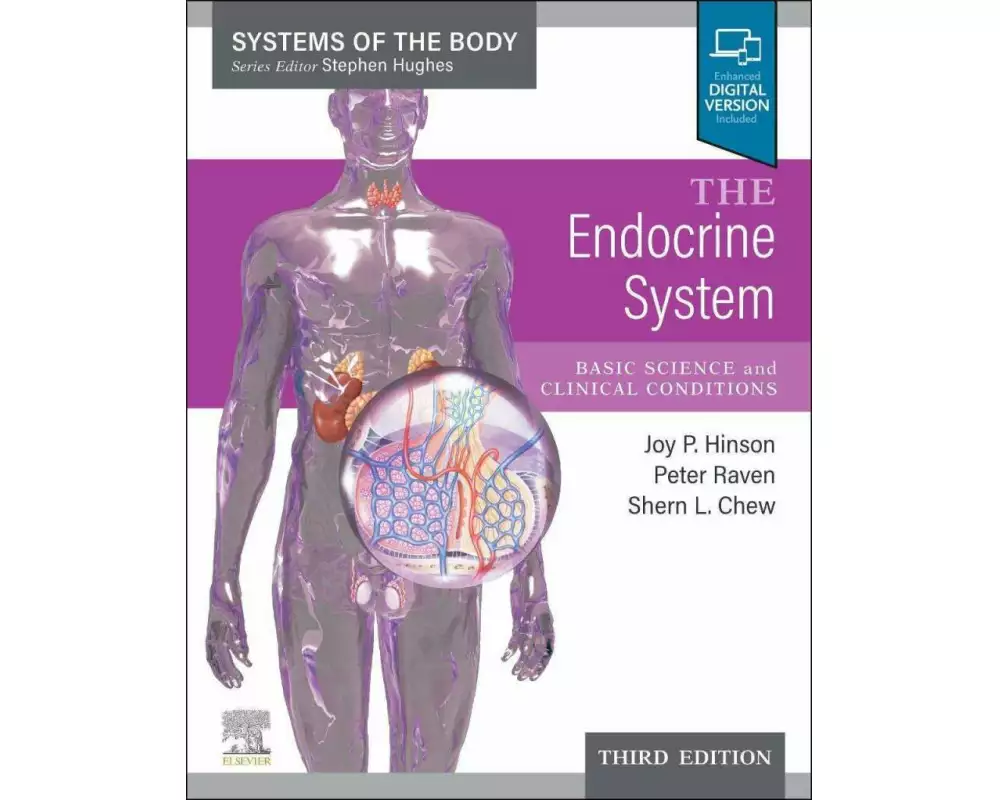 The Endocrine System