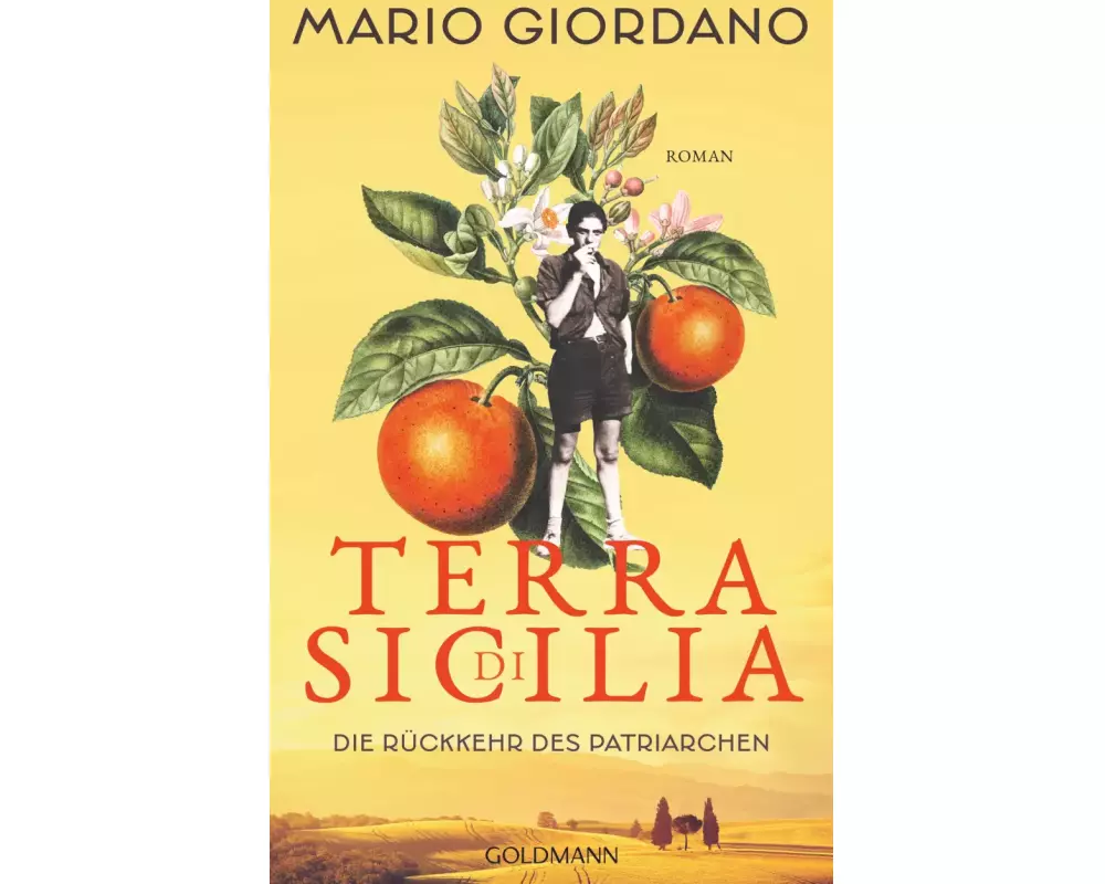 Terra di Sicilia. Die Rückkehr des Patriarchen