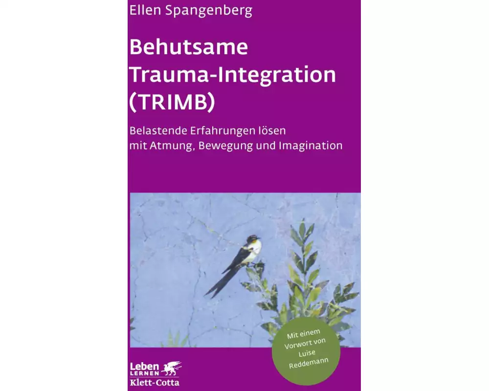 Behutsame Trauma-Integration (TRIMB) (Leben Lernen, Bd. 275)