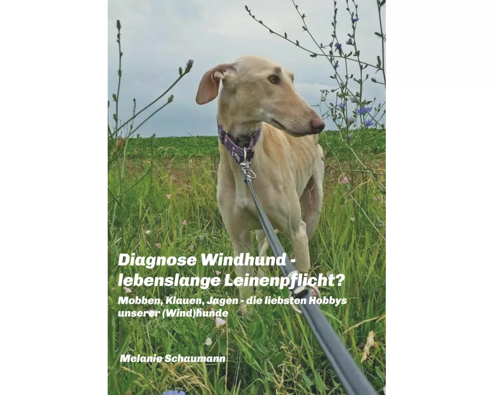 Diagnose Windhund - lebenslange Leinenpflicht?