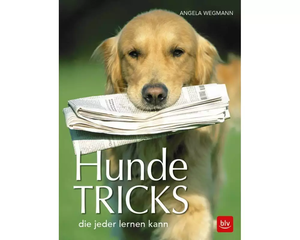 Hundetricks