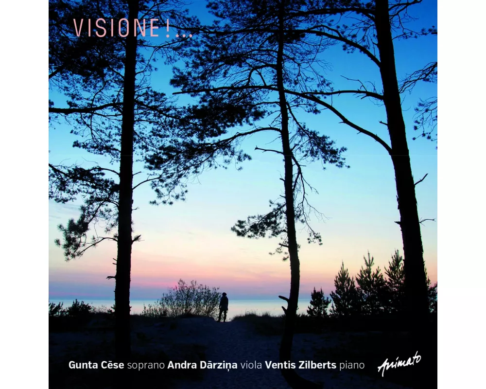 Visione!