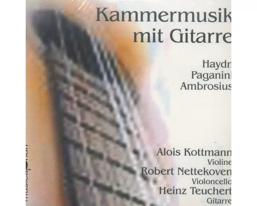 Kammermusik mit Gitarre