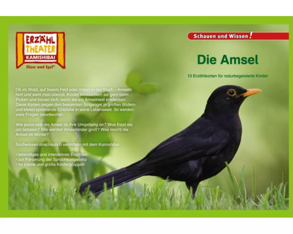 Kamishibai: Die Amsel