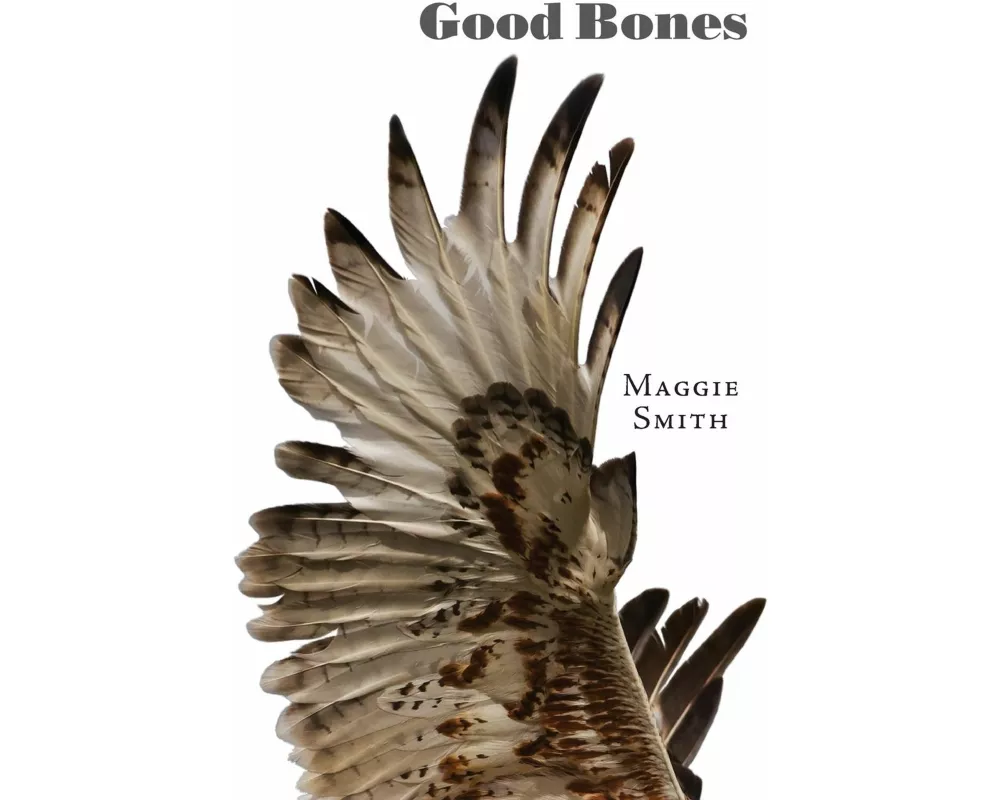 Good Bones