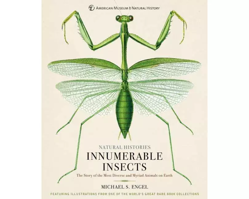Innumerable Insects