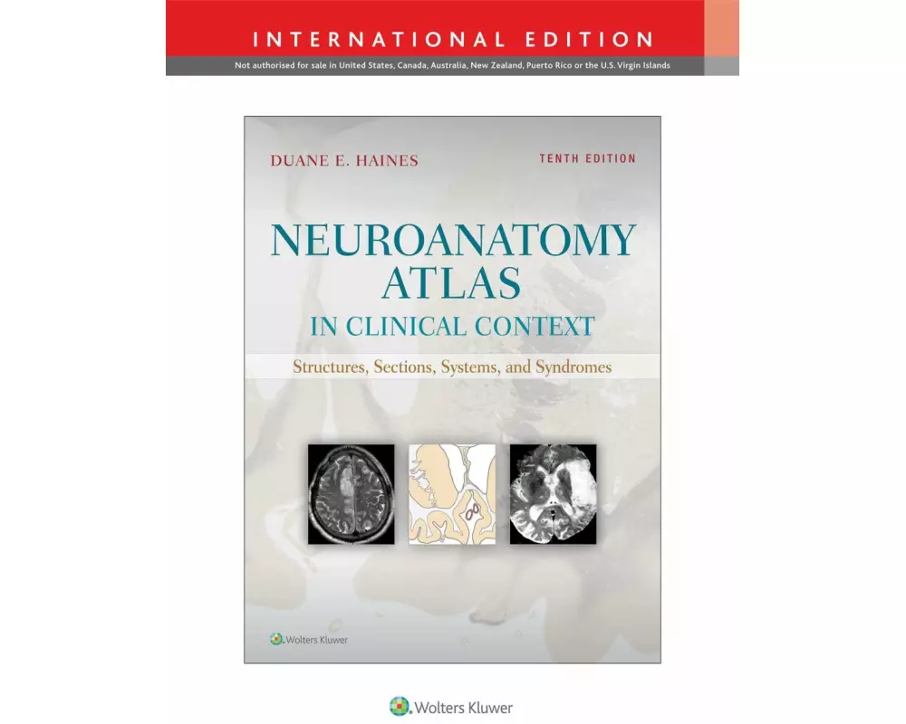 Neuroanatomy Atlas in Clinical Context, International Edition